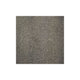 Harmony Carpet