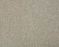 Smart Heathers Carpet