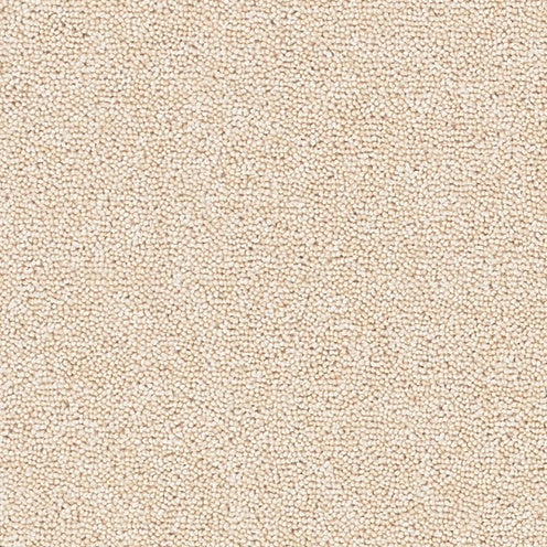 Solar Carpet
