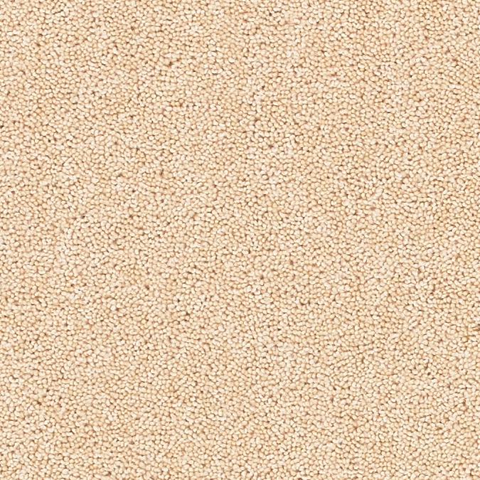 Solar Carpet