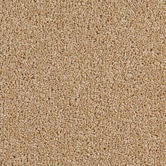 Solar Carpet