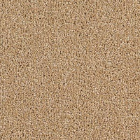 Solar Carpet