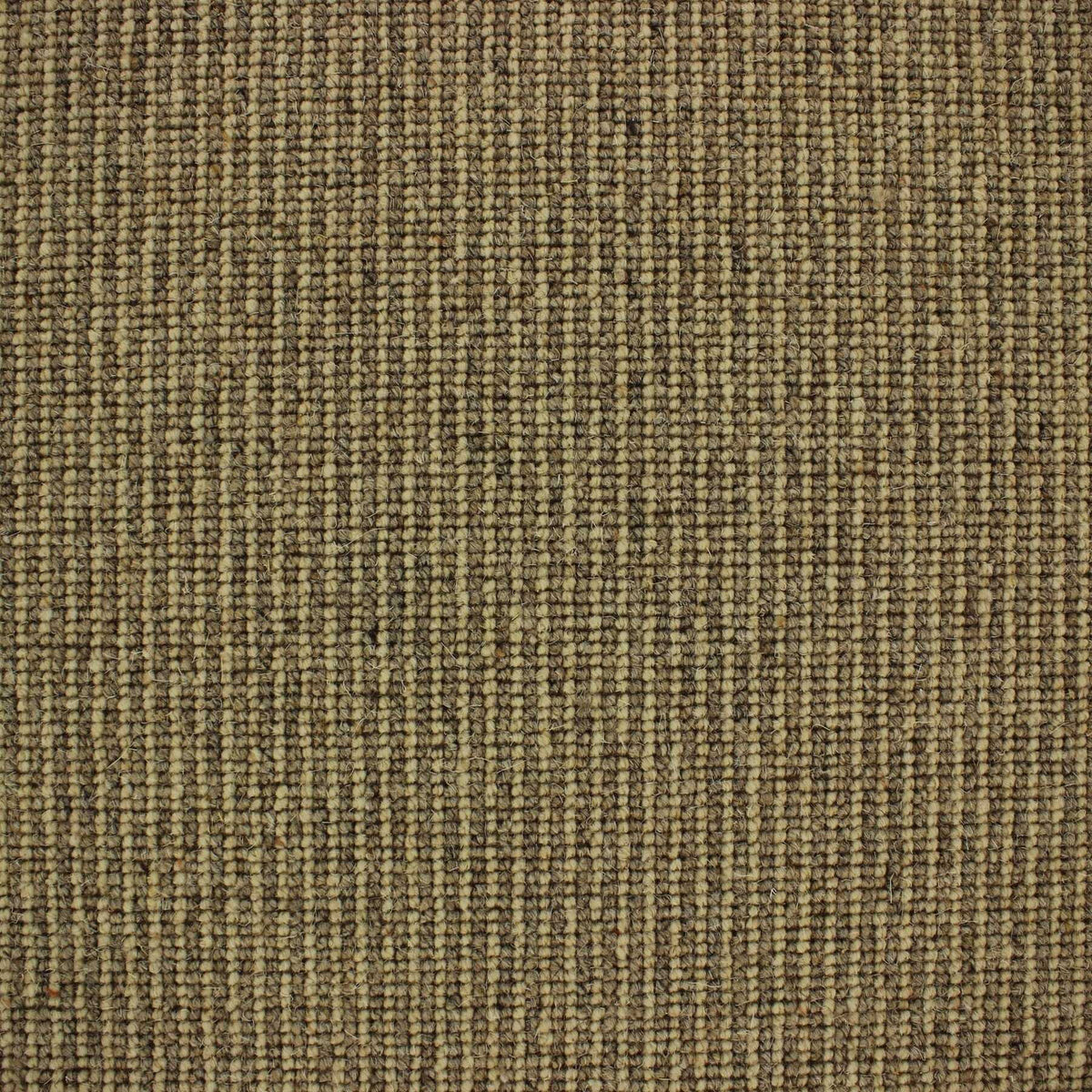 Livorno Carpet