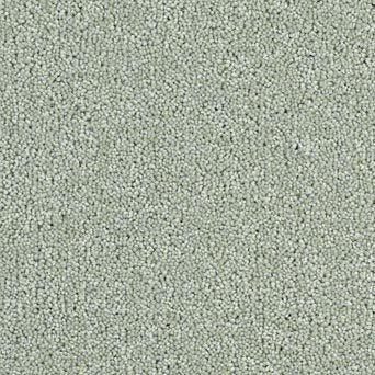 Solar Carpet