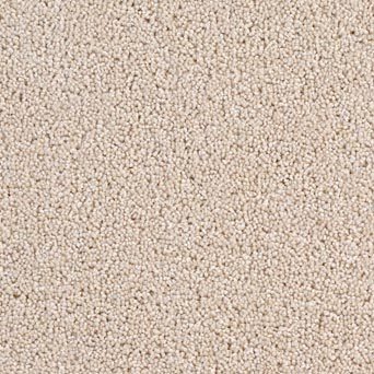 Solar Carpet