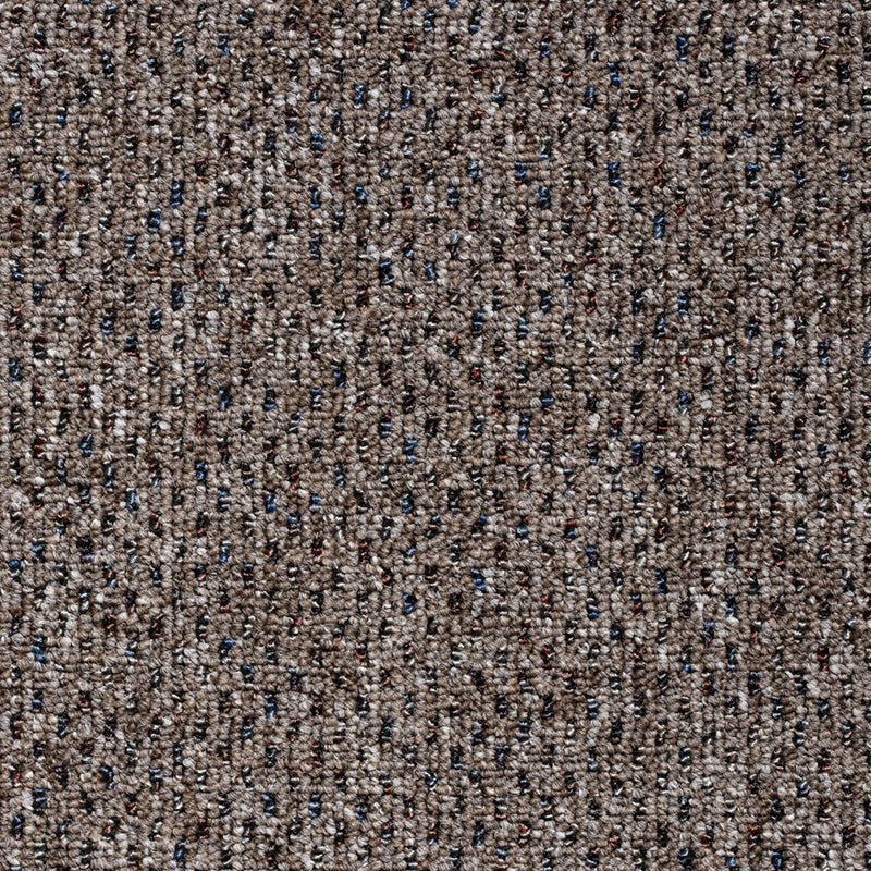 Strong Stuff Carpet