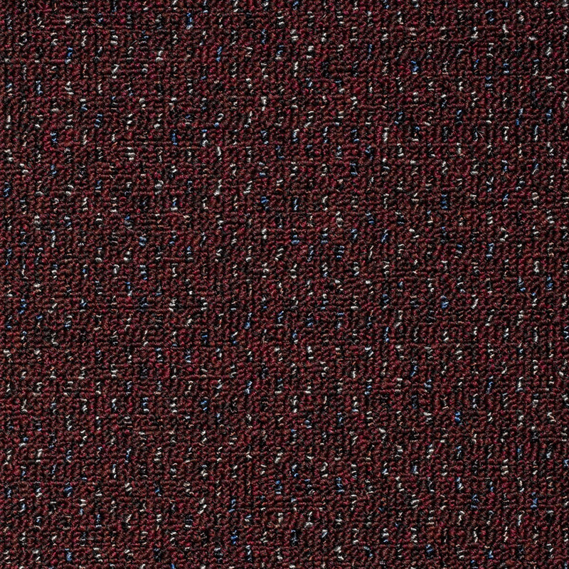 Strong Stuff Carpet
