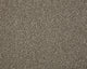 Smart Heathers Carpet