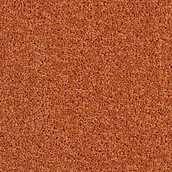 Solar Carpet