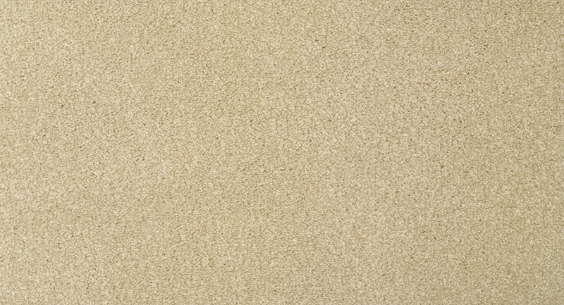 Chiltern Carpet