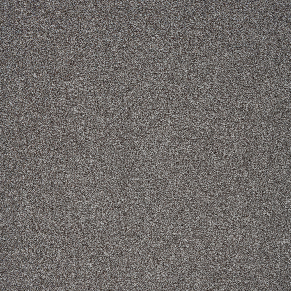 Captivate Carpet