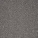 Captivate Carpet