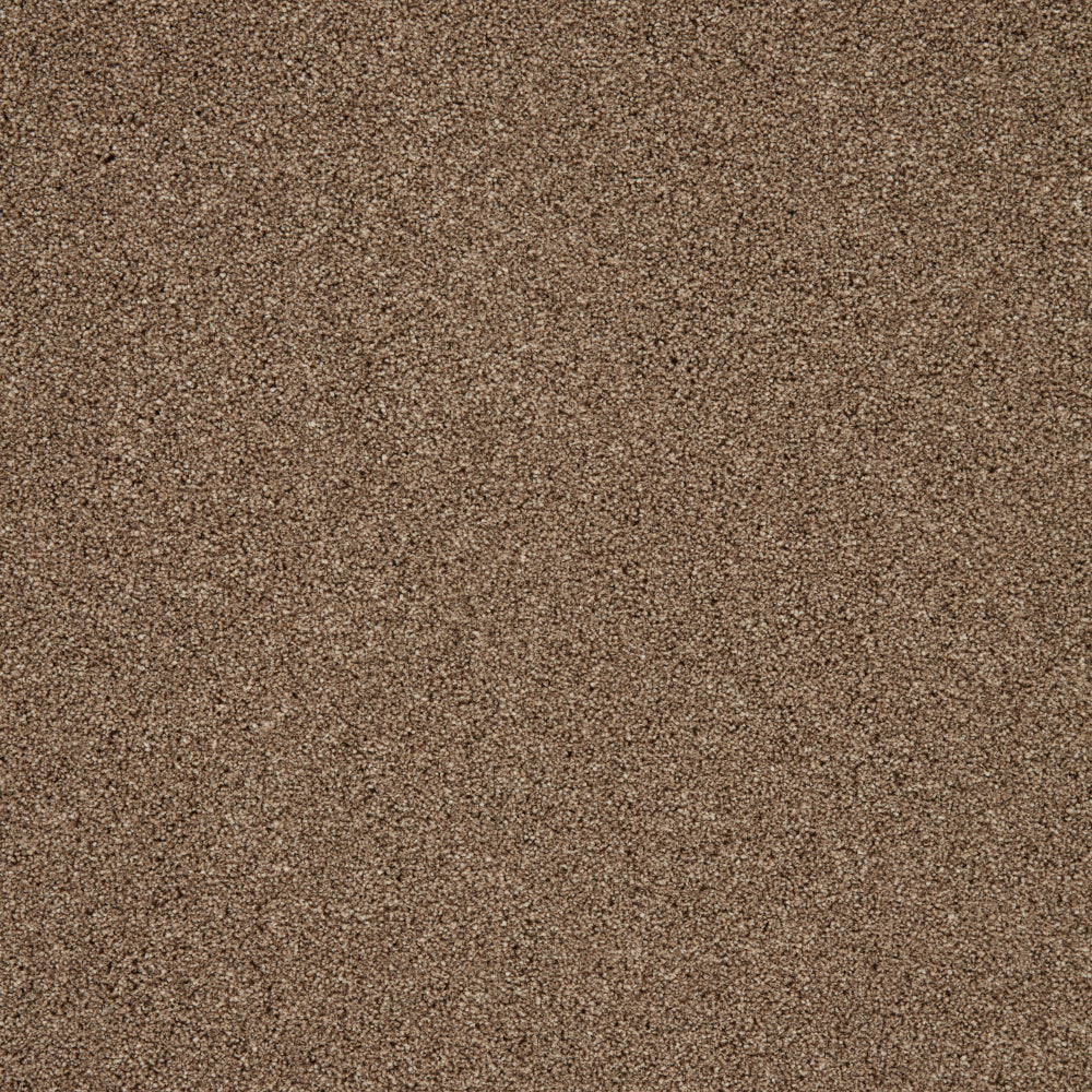 Captivate Carpet