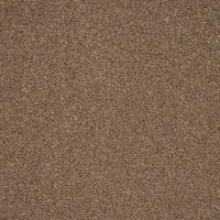 Captivate Carpet
