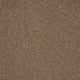 Captivate Carpet