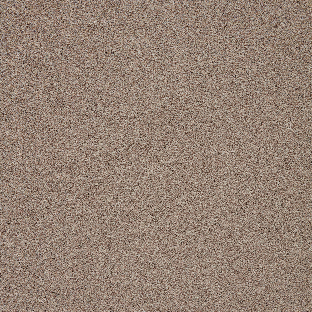 Captivate Carpet