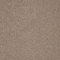Captivate Carpet