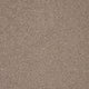 Captivate Carpet