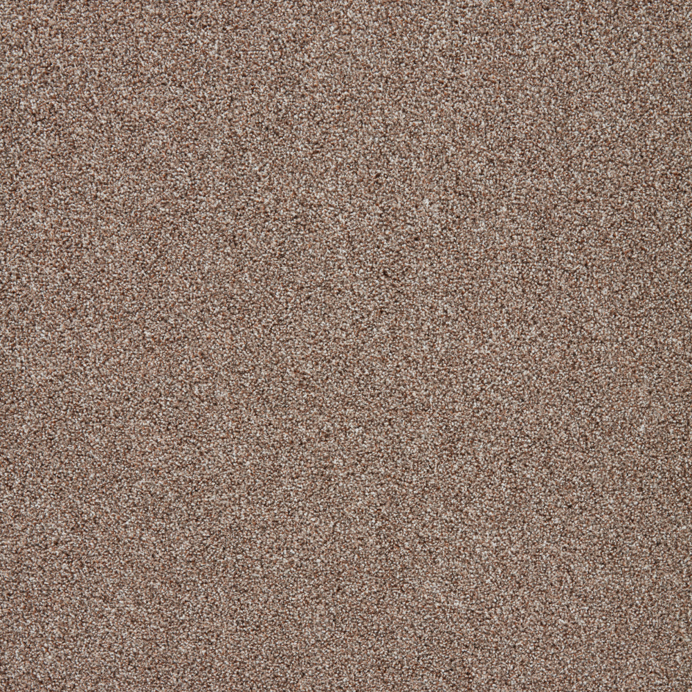 Captivate Carpet