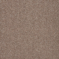 Captivate Carpet