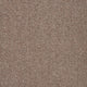 Captivate Carpet