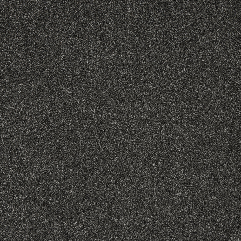 Captivate Carpet