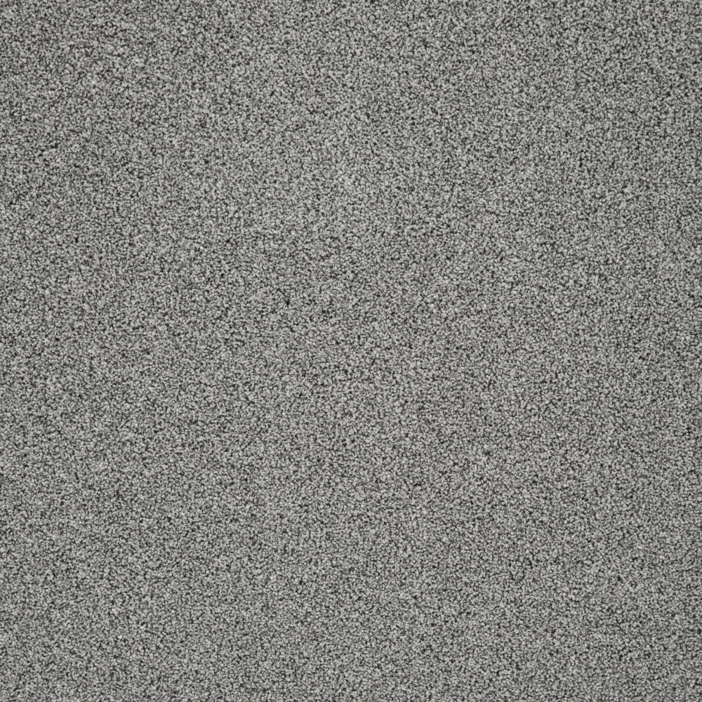 Captivate Carpet