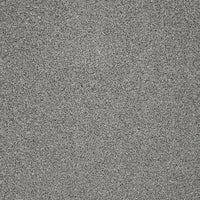 Captivate Carpet