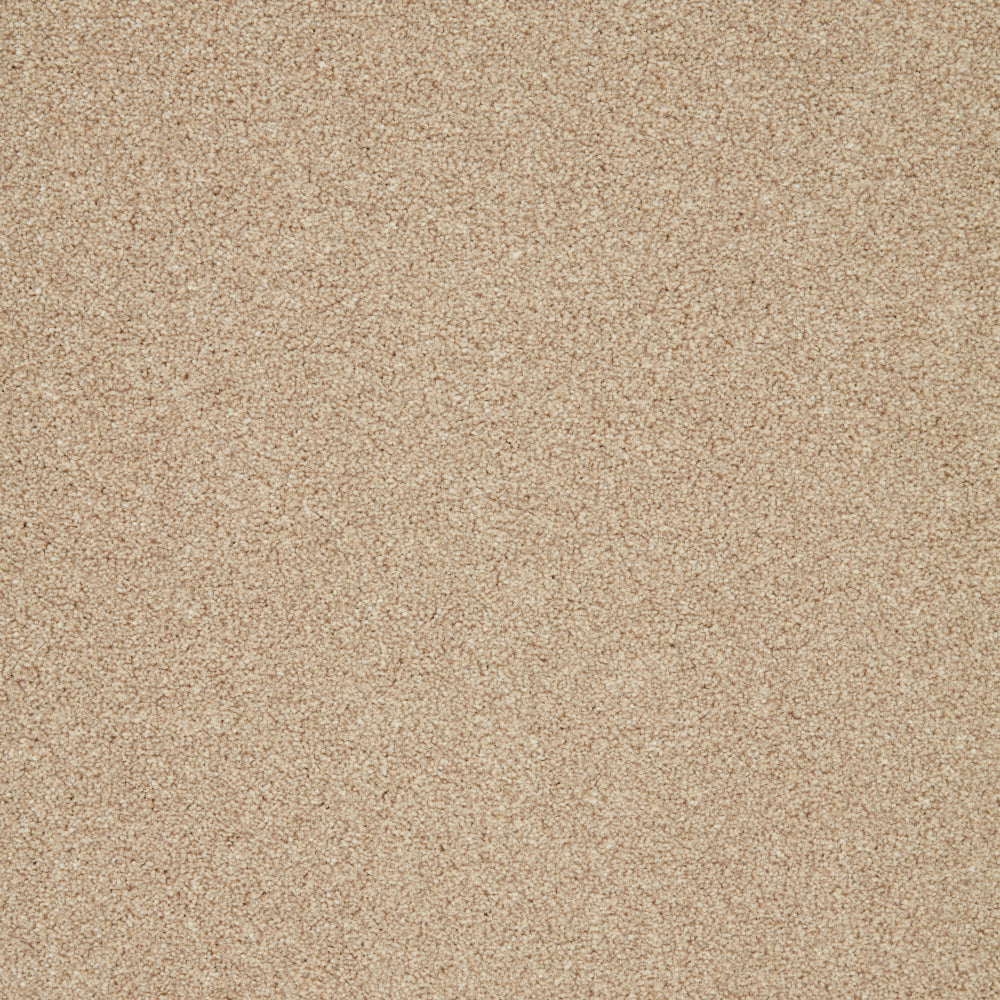Captivate Carpet