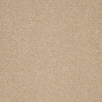 Captivate Carpet