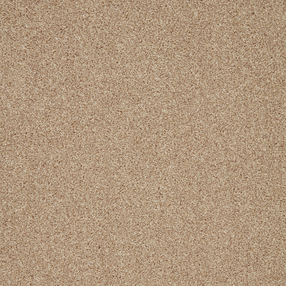 Captivate Carpet