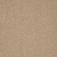 Captivate Carpet