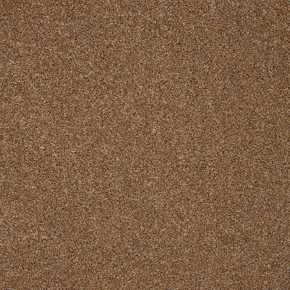 Captivate Carpet