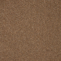 Captivate Carpet