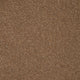 Captivate Carpet