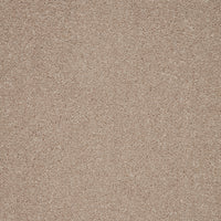 Captivate Carpet