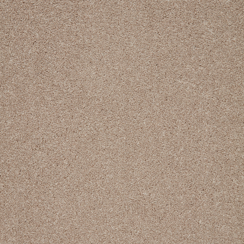 Captivate Carpet