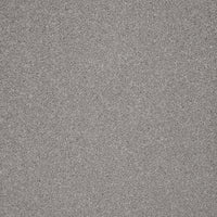 Captivate Carpet