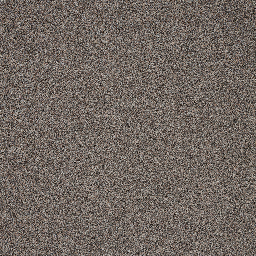 Captivate Carpet