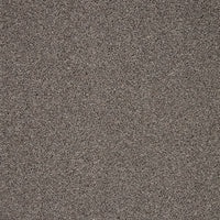 Captivate Carpet