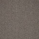 Captivate Carpet