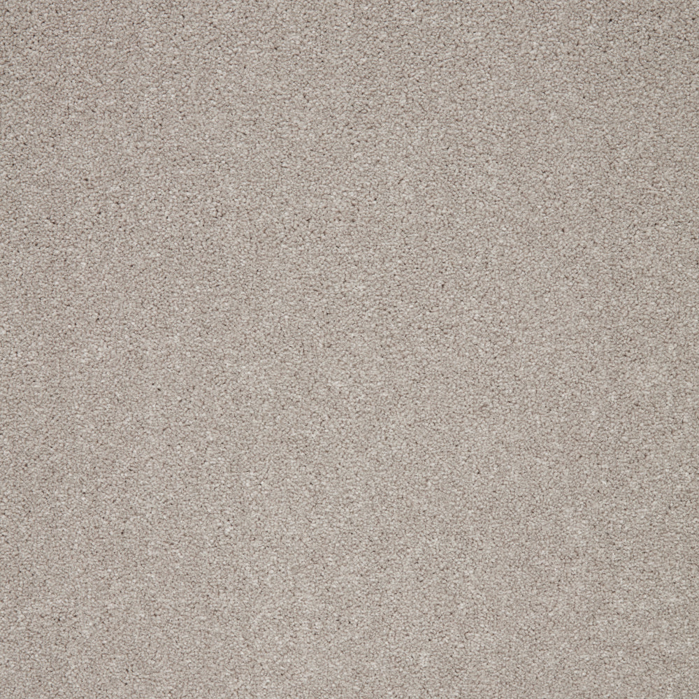 Captivate Carpet