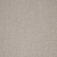 Captivate Carpet