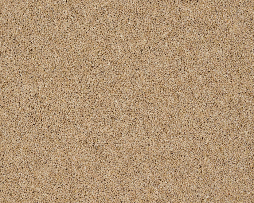 Rutland Heathers Elite Carpet