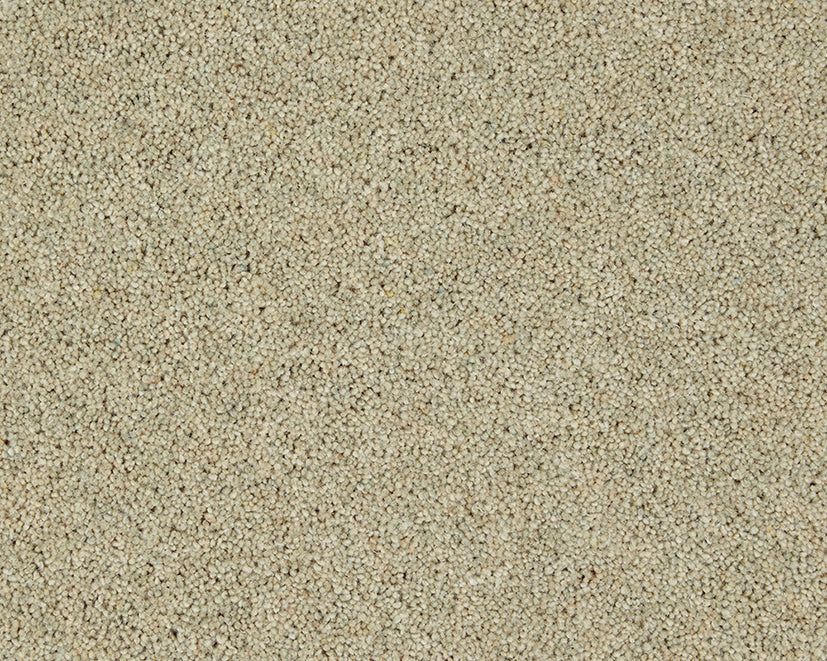 Rutland Heathers Elite Carpet