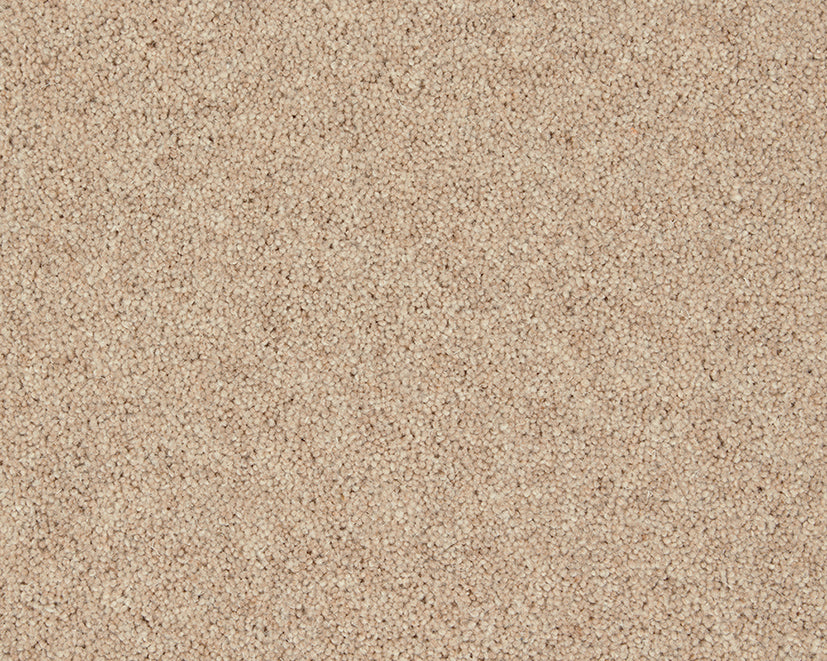 Rutland Heathers Elite Carpet
