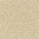 Holkham Carpet